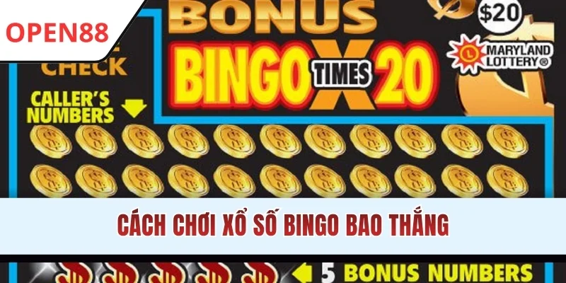 Cách chơi xổ số Bingo bao thắng